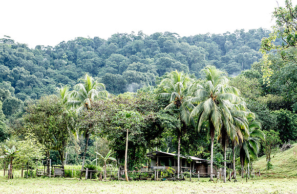 HomestayDSC_5738