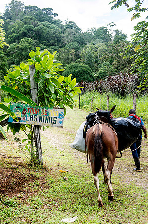 HomestayDSC_5885