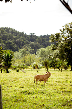 Homestay DSC_4489