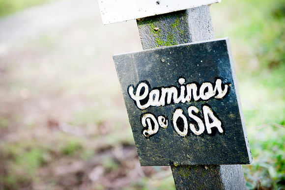 Caminos de Osa DSC_5179