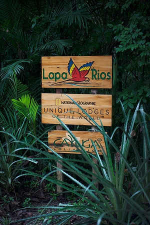 Lapa Rios DSC_7767