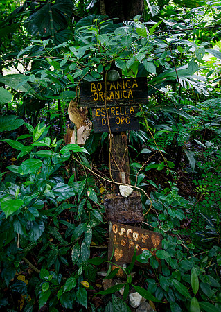 Rio Tigre DSC_7152