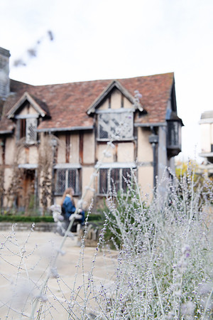 Nemorin_Stills _Stratford_PLG_0408