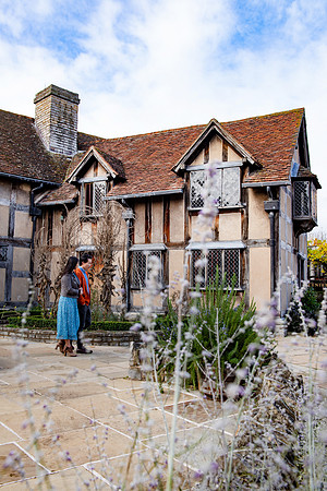 Nemorin_Stills _Stratford_PLG_0439