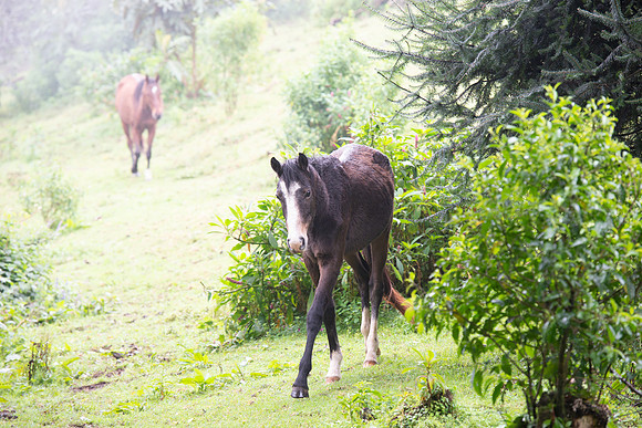 Ranch campsite_DSC_3976