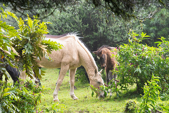Ranch campsite_DSC_3972
