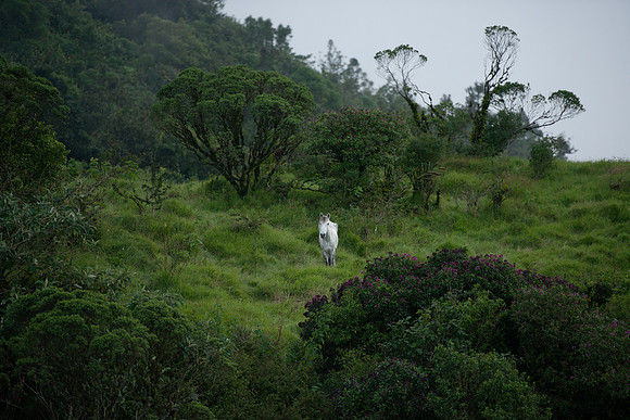 Ranch campsite_DSC_3946