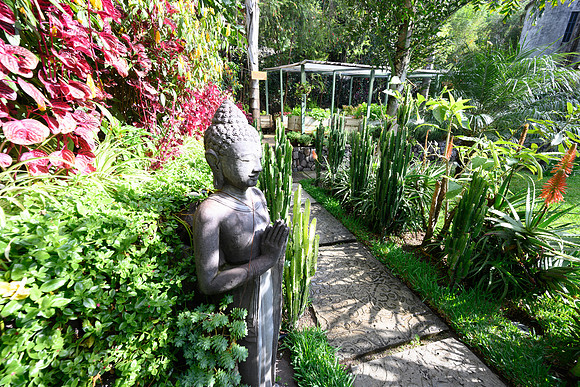 Casa_Prana_Lake AtitlanDSC_2057