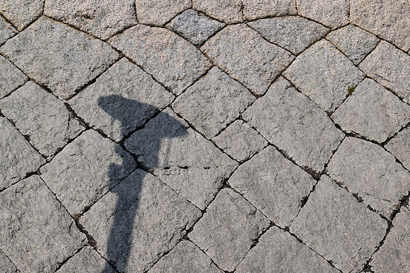 DSC_8520