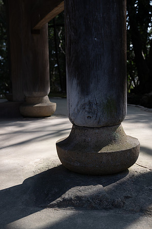 DSC_8661