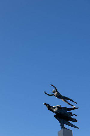 DSC_8875