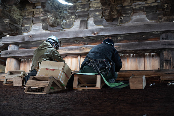DSC_8952