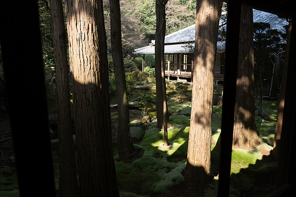 DSC_8762