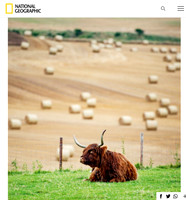 National Geographic -Barley to Whisky Online Words and pictures -
