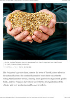 barley 2