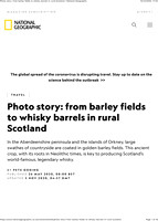 barley 3