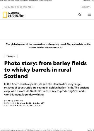barley 3